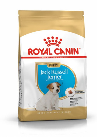 pu-jack-russel-packshot-bhn18