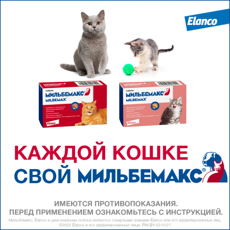 8. Milbemax_big cats_rich_8_both packs